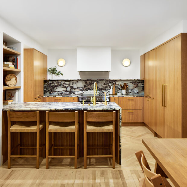 Condo Kitchen + Pantry in Washington, DC