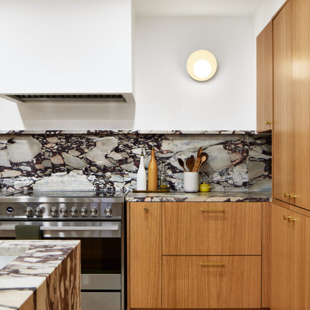 condo-kitchen-and-pantry-in-washington-dc-02