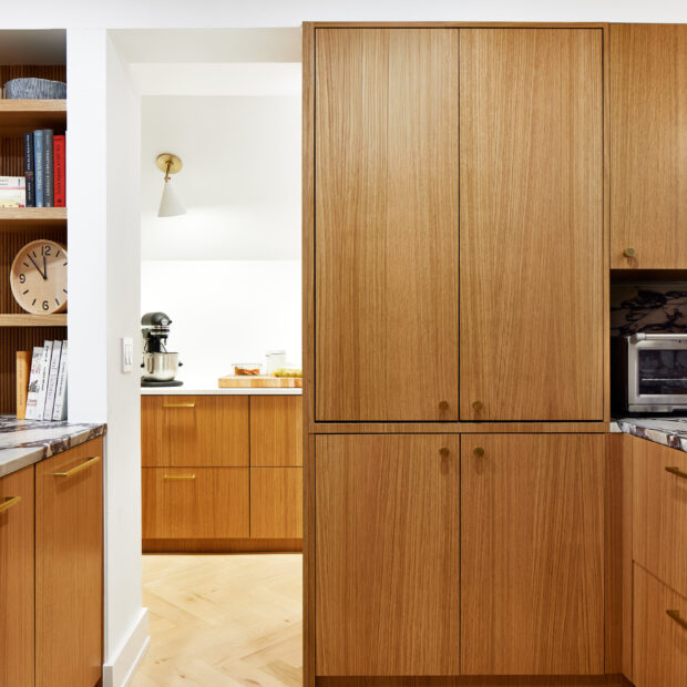 Condo Kitchen + Pantry in Washington, DC