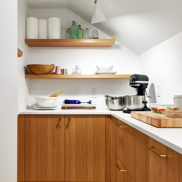 Condo Kitchen + Pantry in Washington, DC