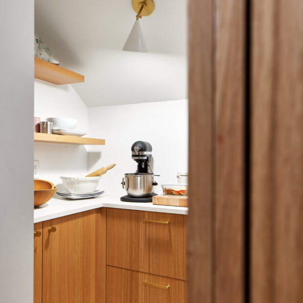 Condo Kitchen + Pantry in Washington, DC