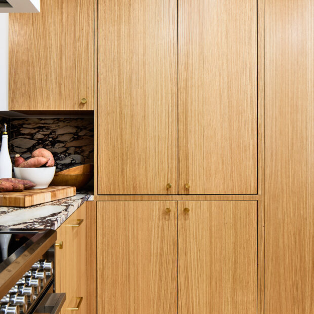 condo-kitchen-and-pantry-in-washington-dc-06