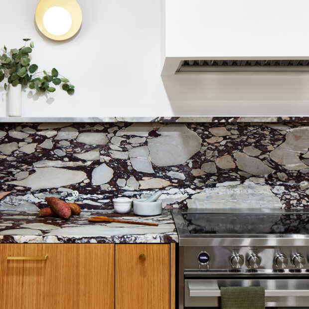 condo-kitchen-and-pantry-in-washington-dc-07