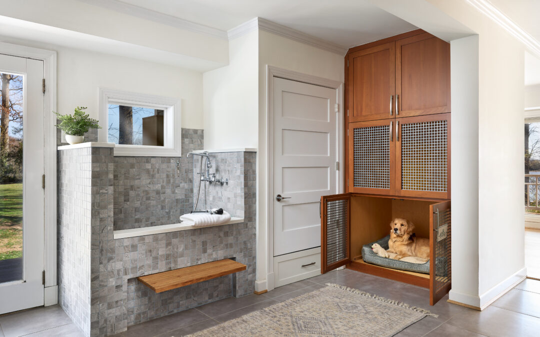 Laundry + Dog Spa in Fairfax, Virginia