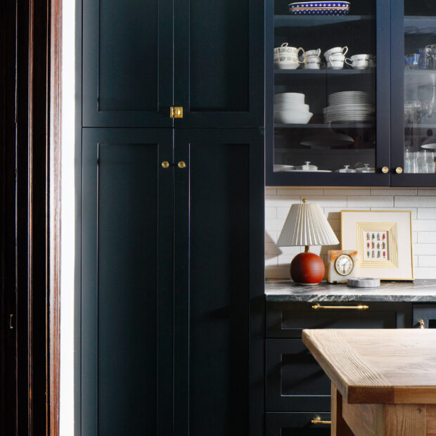 moody-kitchen-remodel-in-bloomingdale-washington-dc-03