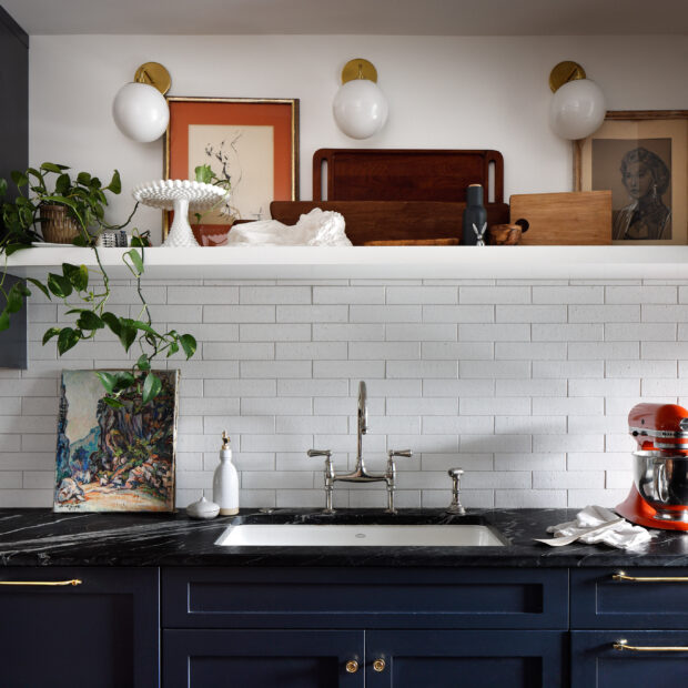 moody-kitchen-remodel-in-bloomingdale-washington-dc-04