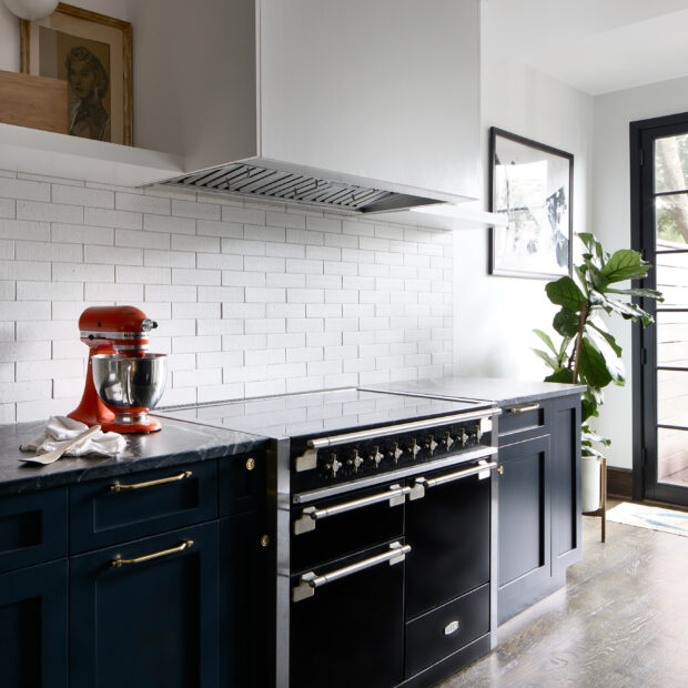 moody-kitchen-remodel-in-bloomingdale-washington-dc-05